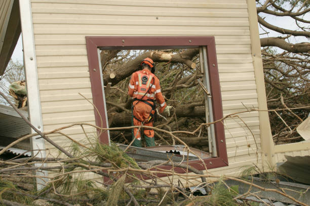 Best Tree Maintenance Programs  in Florence Graham, CA